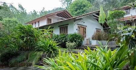 Article Banner Image