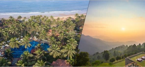 Collage of top view pool surrounding palm trees near beach and mountains view hotel