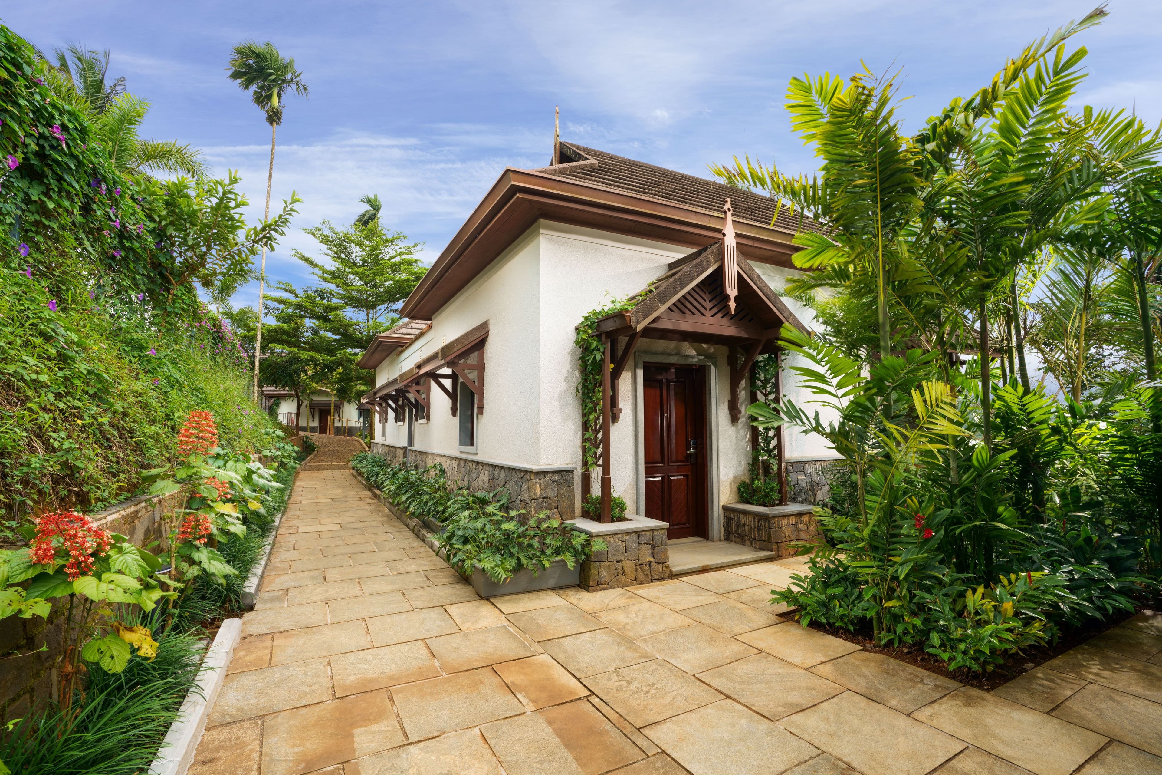 Article Banner Image