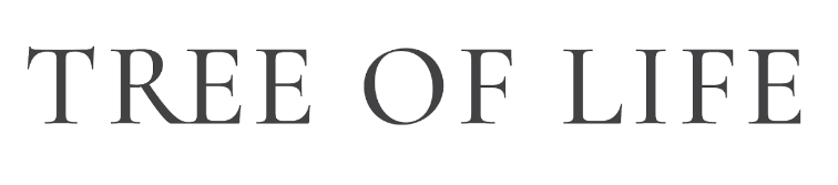 alternate text for image